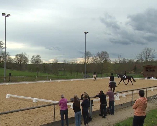 Reitturnier Altentrüdingen/Mfr. 2024