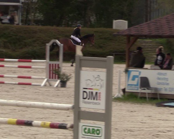 Reitturnier Pietzpuhl 2024