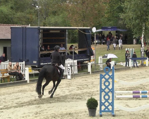 Reitturnier Forst 2021