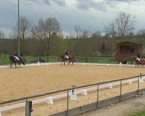 Reitturnier Altentrüdingen/Mfr. 2024