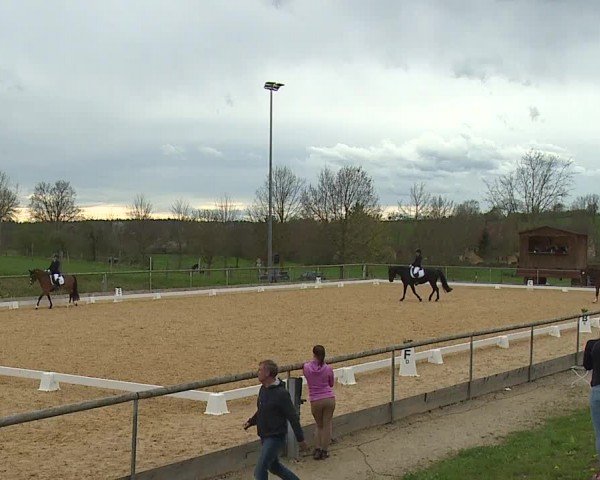 Reitturnier Altentrüdingen/Mfr. 2024