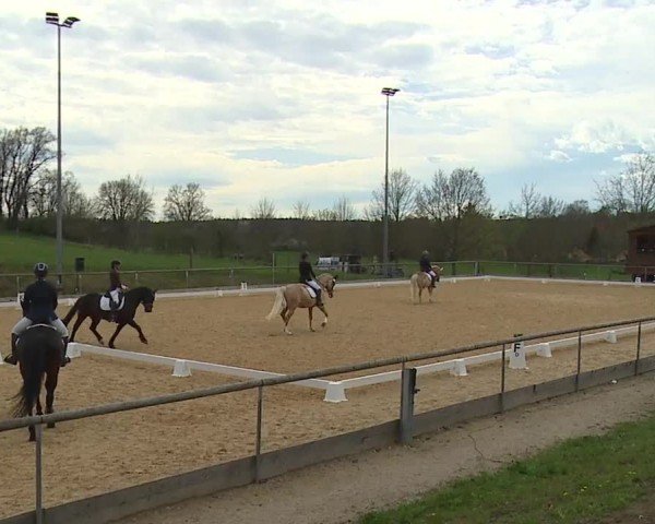 Reitturnier Altentrüdingen/Mfr. 2024