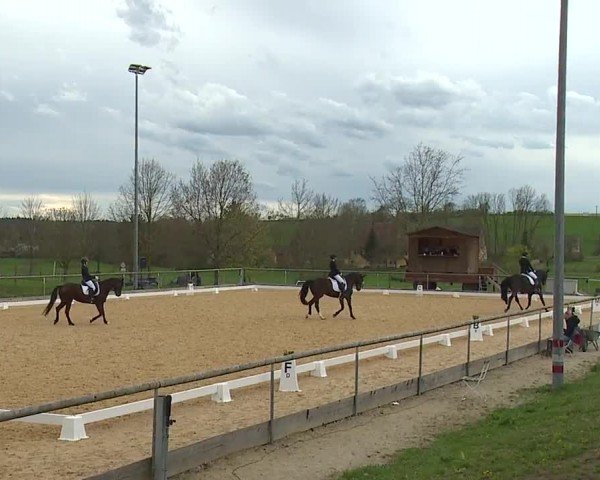 Reitturnier Altentrüdingen/Mfr. 2024