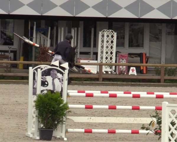 Reitturnier Balve-Wocklum 2024