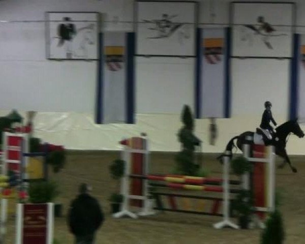 Reitturnier Legden 2011