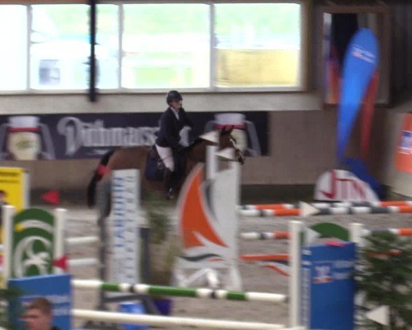 Reitturnier Niebüll - Jumping Team Nord 2024