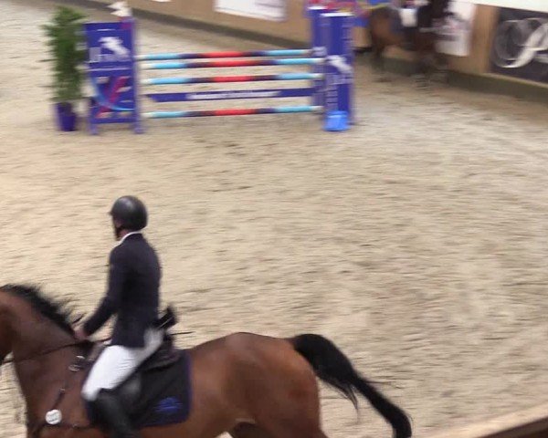 Reitturnier Niebüll - Jumping Team Nord 2024