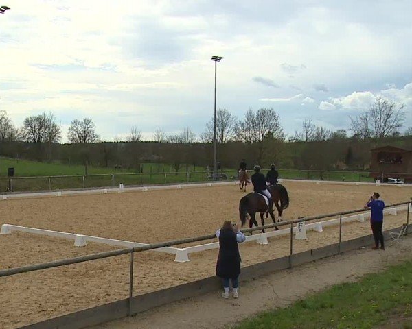 Reitturnier Altentrüdingen/Mfr. 2024