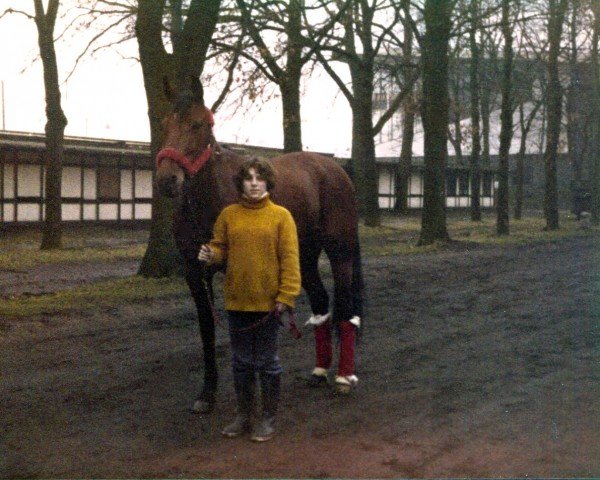 broodmare Fantique (FR) (French Trotter, 1971, from Feu Follet X (FR))