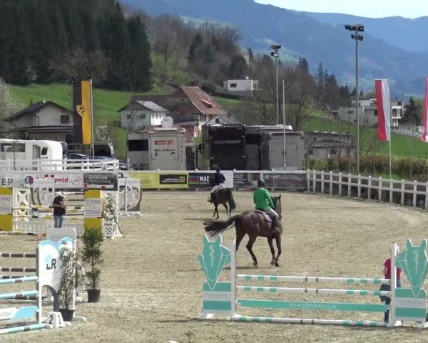 Reitturnier St. Margarethen 2024