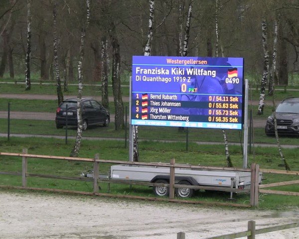 Reitturnier Westergellersen 2024