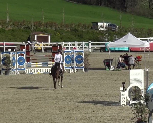 Reitturnier St. Margarethen 2024