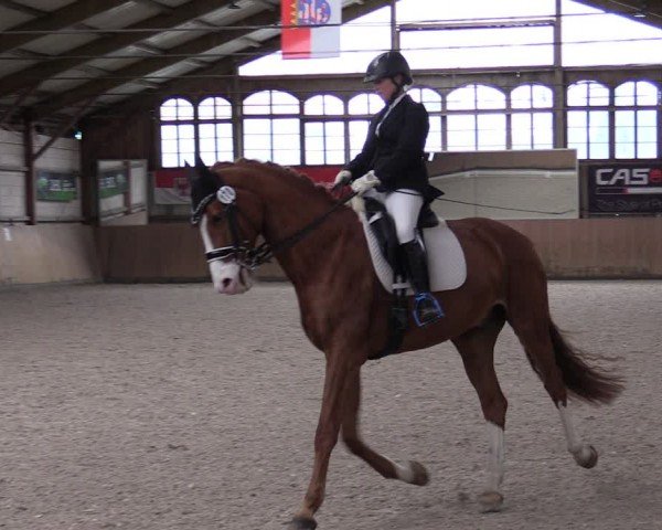 Reitturnier Elisenau 2024