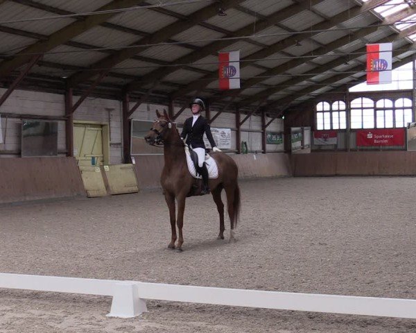 Reitturnier Elisenau 2024