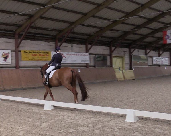Reitturnier Elisenau 2024