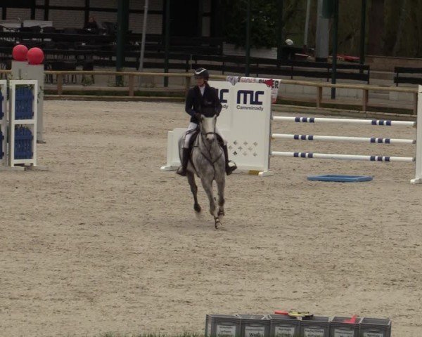 Reitturnier Balve-Wocklum 2024