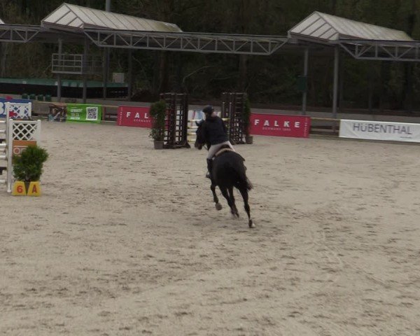 Reitturnier Balve-Wocklum 2024