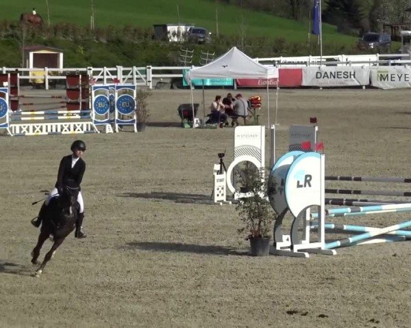 Reitturnier St. Margarethen 2024