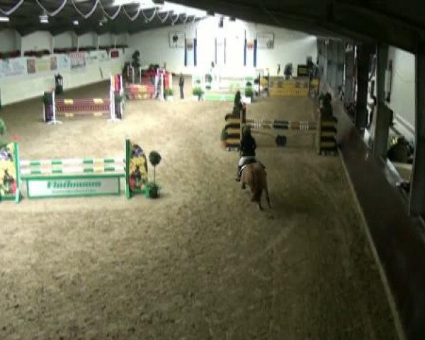 Legdener Ponymeeting 2011