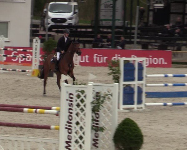 Reitturnier Balve-Wocklum 2024