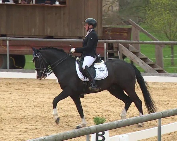Reitturnier Altentrüdingen/Mfr. 2024