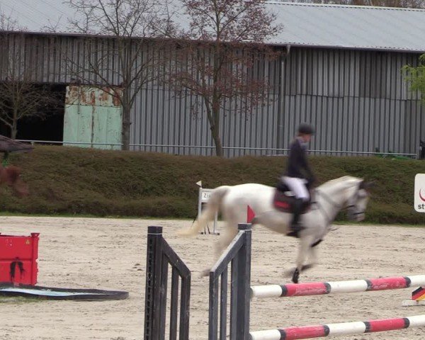 Reitturnier Pietzpuhl 2024