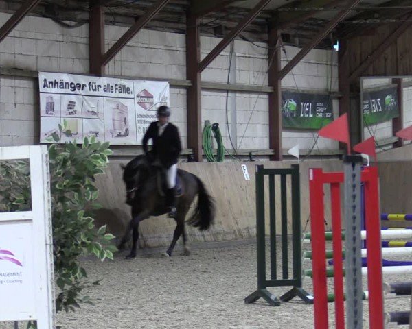Reitturnier Elisenau 2024