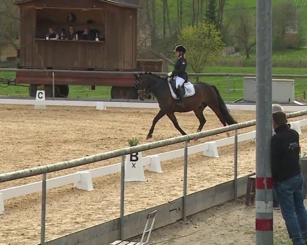 Reitturnier Altentrüdingen/Mfr. 2024