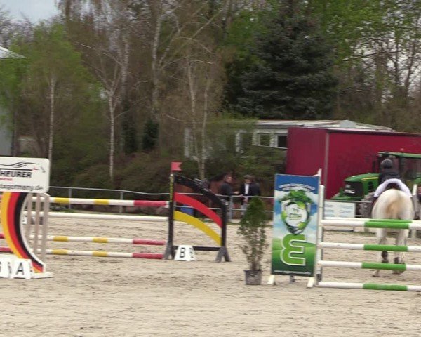 Reitturnier Pietzpuhl 2024