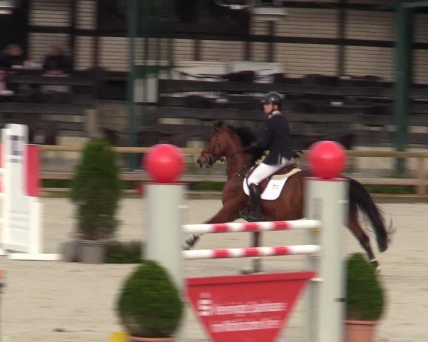 Reitturnier Balve-Wocklum 2024