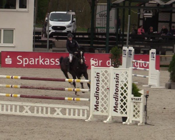 Reitturnier Balve-Wocklum 2024