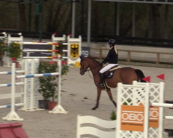 Reitturnier Balve-Wocklum 2024