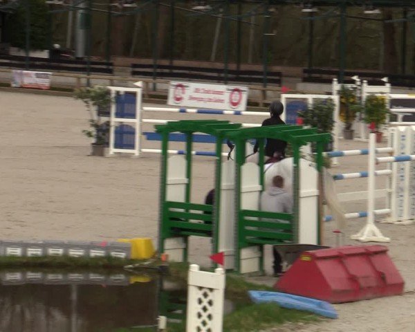 Reitturnier Balve-Wocklum 2024