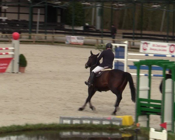 Reitturnier Balve-Wocklum 2024