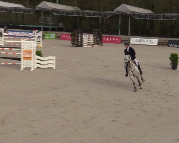 Reitturnier Balve-Wocklum 2024