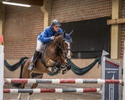 Springpferd Minitine (KWPN (Niederländisches Warmblut), 2017, von Plain's Liberator)