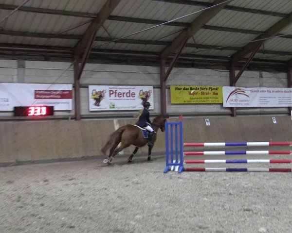 Reitturnier Elisenau 2024