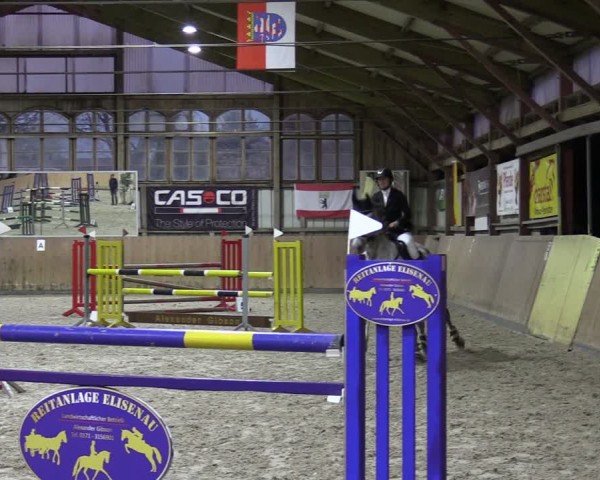 Reitturnier Elisenau 2024