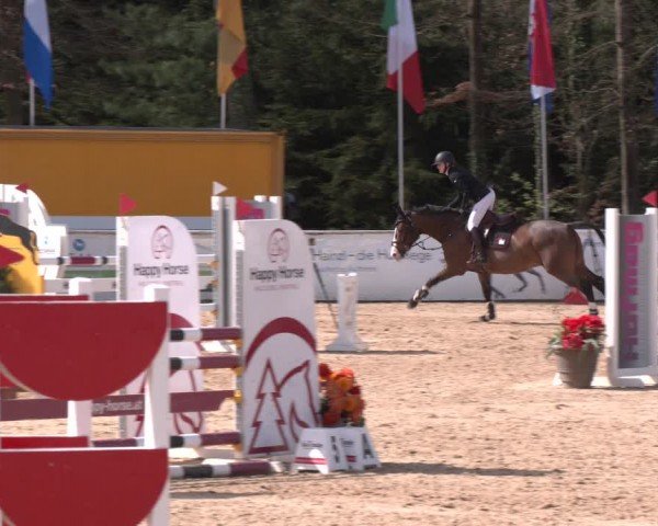 Reitturnier Ranshofen - Braunau am Inn 2024