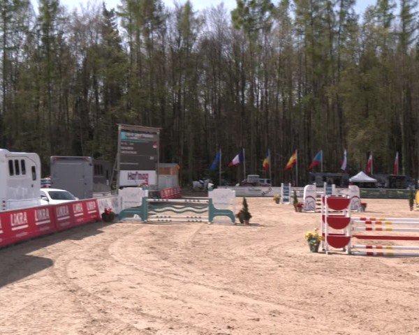 Reitturnier Ranshofen - Braunau am Inn 2024