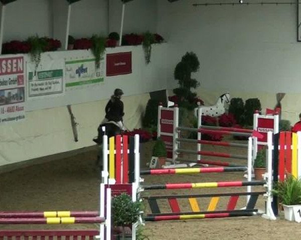 Legdener Ponymeeting 2011