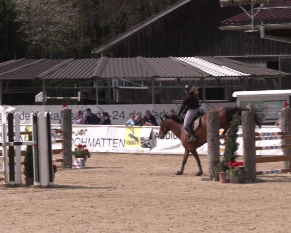 Reitturnier Ranshofen - Braunau am Inn 2024