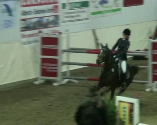 Legdener Ponymeeting 2011