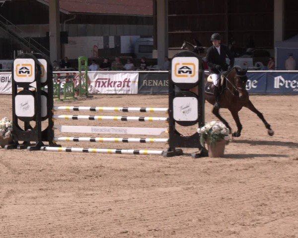 Reitturnier Ranshofen - Braunau am Inn 2024