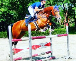 jumper Luise 102 (Oldenburg show jumper, 2012, from Landsieger I)