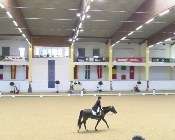 FEI Dressurturnier Stadl Paura 2024