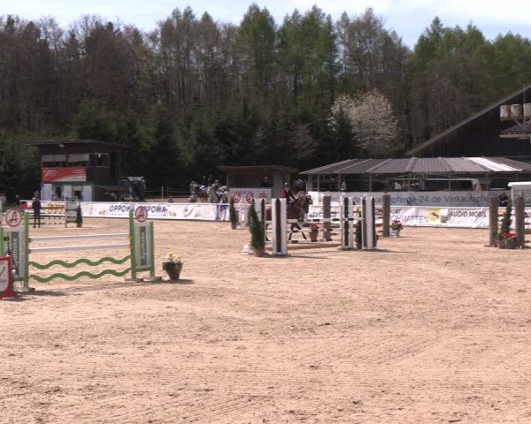 Reitturnier Ranshofen - Braunau am Inn 2024