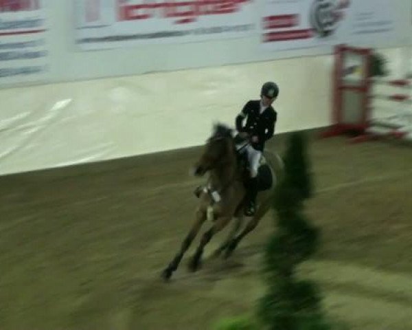 Legdener Ponymeeting 2011