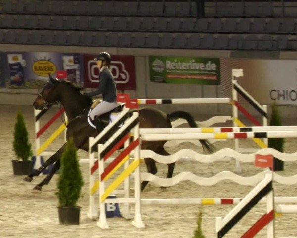 Reitturnier Aachen 2024