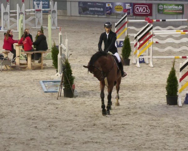 Reitturnier Aachen 2024